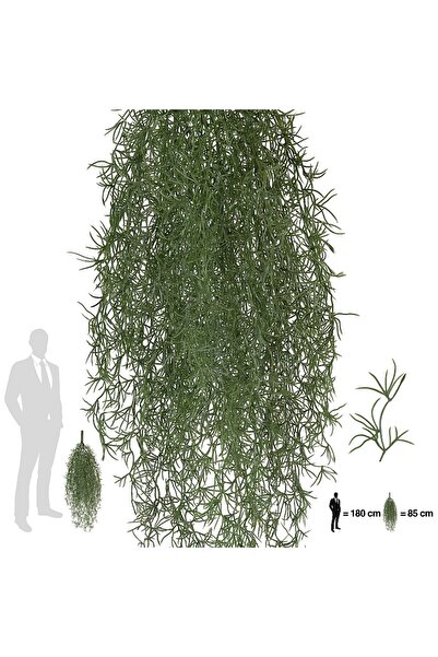 Roberto Rossi Planta curgatoare Long hair (tillandsia) 85 cm verde padure