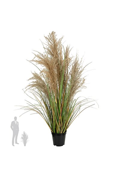 Roberto Rossi Iarba artificiala Onion 90 cm cu 5 flori naturale de pampas bej