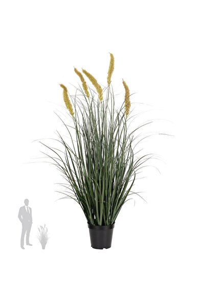 Roberto Rossi Iarba artificiala Onion Cattail 90 cm cu 5 flori