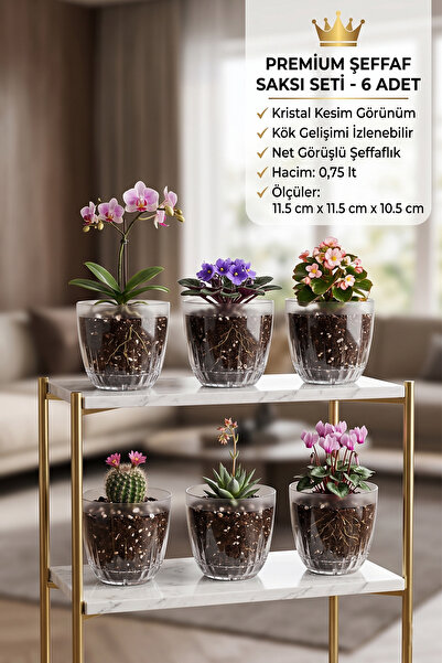 MONTESEV Adetalya Kristal Çiçek Saksısı 6 Adet 0,75 lt -(aly-409)