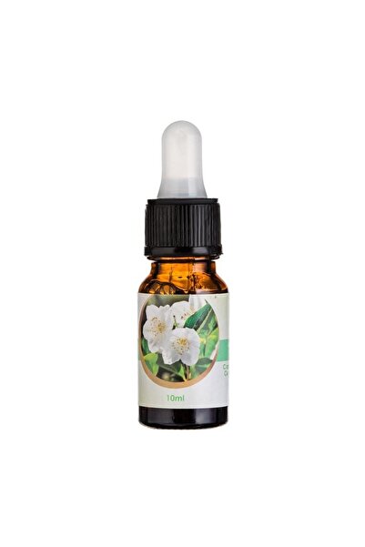 OEM Ulei Parfumat pentru Cameră, Aromă Iasomie, Esență Odorizantă, 10ml