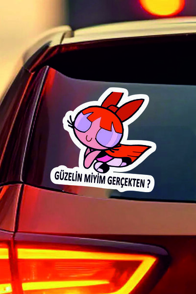 ESLEM Blossom Is My Beauty Really Sticker 2 Pieces Humorous Written Car Windo...