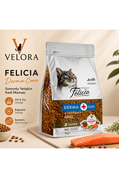 Felicia Derma Care Somonlu Yetişkin Kedi Maması 1 Kg - Deri ve Tüy Sağlığı Destekleyici, Hypoallergenic