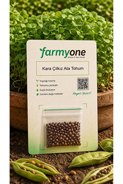 farmyone Kara Yer Çilkız Fasulye Ata Tohumu 50 Adet