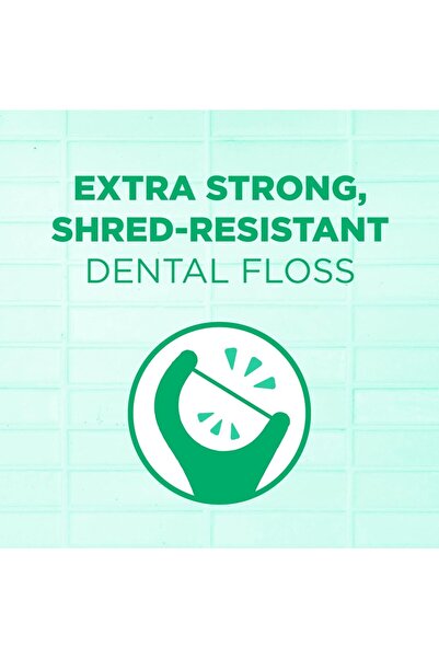 GUM Professional CLEAN Flosser Fresh Mint 150 Count Pack Of 1 - Packaging May Vary