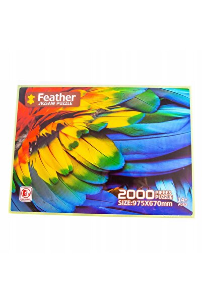 Midex PUZZLE 2000 piese Pene colorate