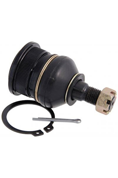 FEBEST Pivot 0220-C24