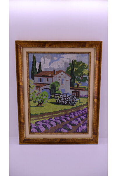 Mersin Alzheimer Derneği El Yapımı Çok Renkli Kaneviçe Tablo 47*37 cm