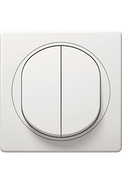 Other Aling Conel E6072.00 Εντοιχιζόμενος Διακόπτης Τοίχου Διπλός με Πλαίσιο ...