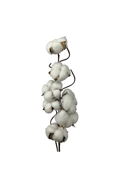 OEM Ramură Artificială Bumbac Alb 65 cm