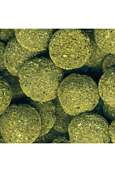 JBL 100 Adet Pro Novo Pleco Wafer M Vatoz İçin Tablet Yem