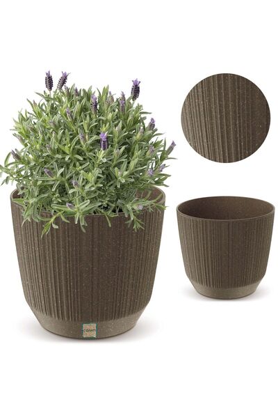 EDANTI Husă ghiveci plante de interior 19,5 cm Ryfo pentru masă, pervaz, cafea