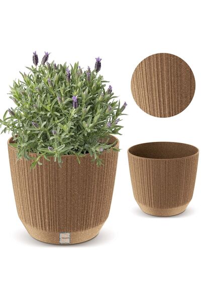 EDANTI Husă ghiveci plante de interior 16,8 cm Ryfo pentru masă și pervaz maro