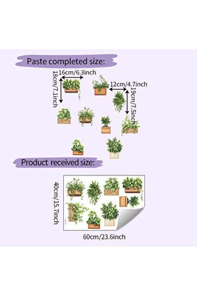 Choice 40X60cm Fresh green plant potted plants, bedroom, living room, entranc...
