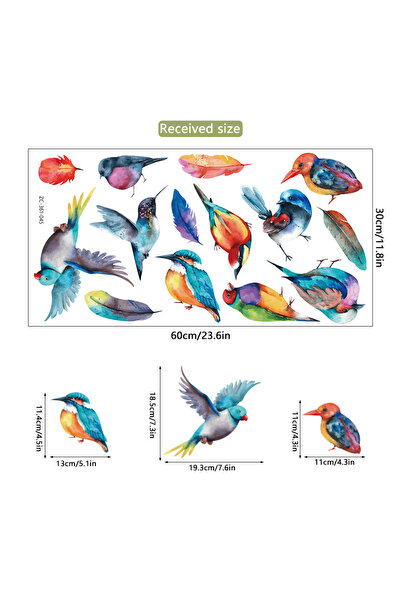 Choice 30x60cm MULTI Colorful Birds Feather Removable Wall Stickers for Home ...