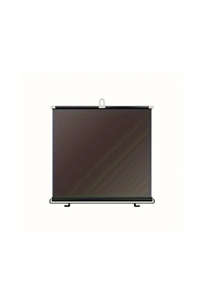 OEM Parasolar Auto Geam Lateral Retractabil Folie Opaca, 63x130 cm, Super Dar...