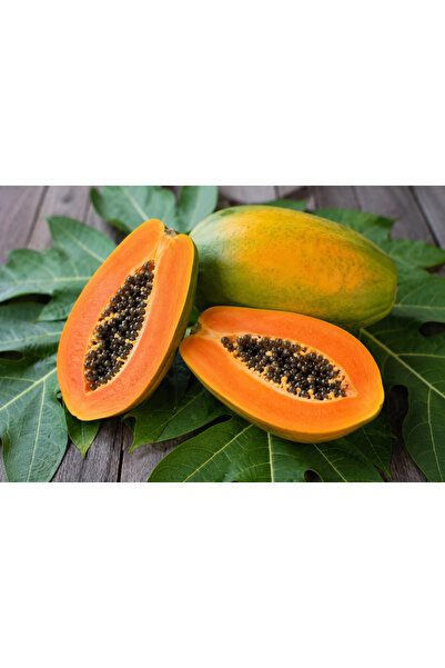 TROPİBOXALANYA PAPAYA MEYVESİ 1 ADET