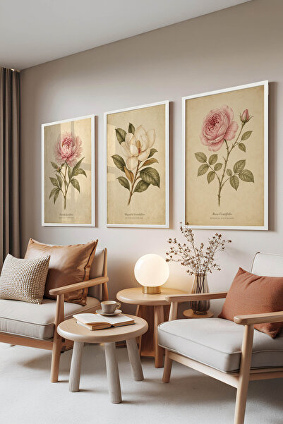 Zestia Set de 3 tablouri cu ramă albă, ilustrație botanică elegantă cu flori ...