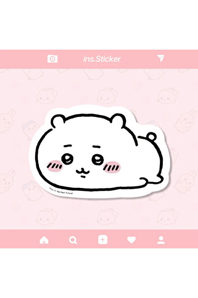 Choice10 Bandai C-SBD-Z-3 Cute Cartoon jiyi Usagi Hachiware Special-Shaped Le...