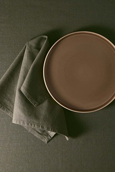 H&M 2-pack stoneware dinner plates