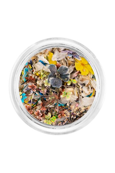 LUXORISE Dried Flowers Nails - Sage Dream