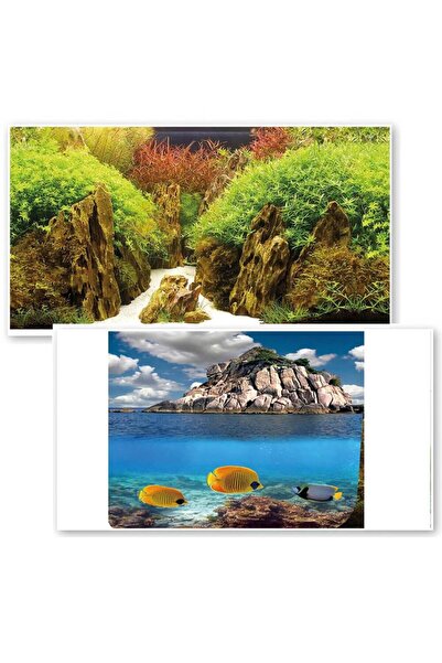 Ocean Free Fundal acvariu pesti peisaj exotic + roci cu plante si pietre 100X...