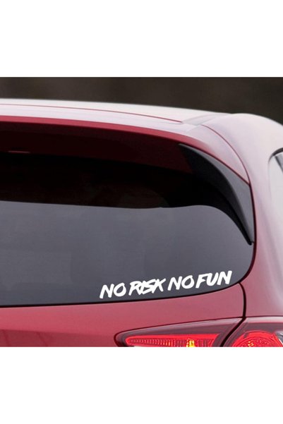 Generic Brand No Risk No Fun Waterproof Vinyl Sticker Set |   White 4-Pack 20 cm