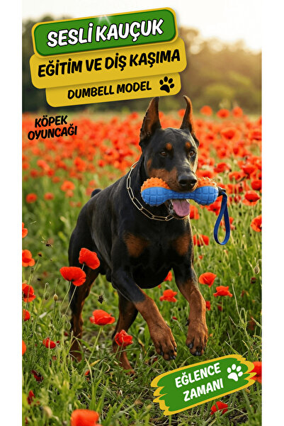 Ovisso Rubber Sound Dumbell Model Dog Teeth Scratching and Training Toy