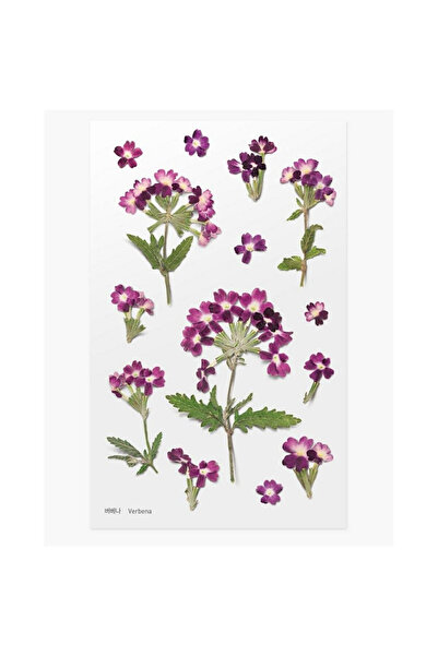 APPREE Autocolant decorativ/abtibild Werbena, pet 151×94 mm, flori realiste, ...