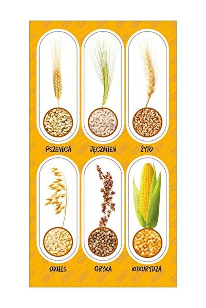 OEM Set autocolante decorative, Ranok-Creative, Cu model, Multicolor