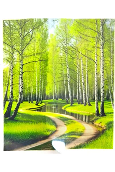 LİVA CRAFT Art & Craft Diamond Mosaic Painting, 50X40Cm Green Forest Bead Glu...