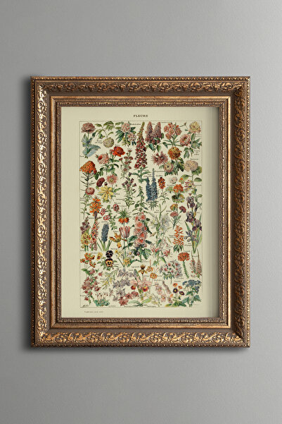 epiqart رسومات نباتية زهرية - لوحة بنمط عتيق - نموذج سميك