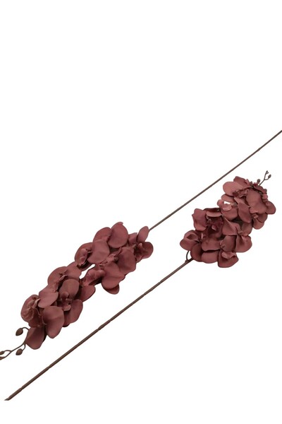 Generic 3 Orchid Stems for Home Decoration
