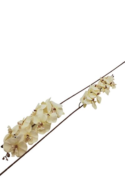 Generic 3 Orchid Stems for Home Decoration