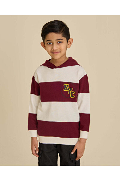 REDTAG Boys Burgundy Striped Hooded T-Shirt