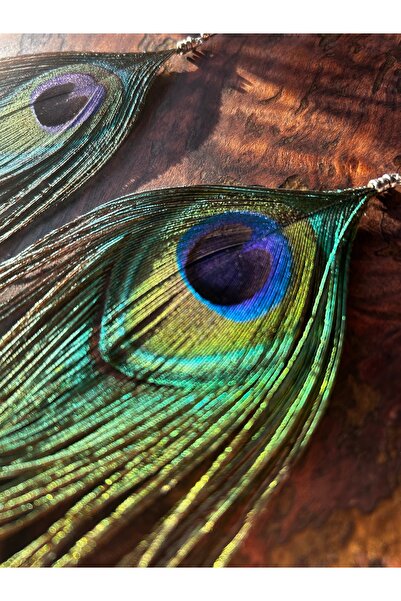 Chamis Handmade Real Peacock Feather Earrings