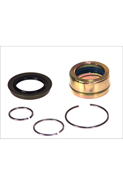 Auger Set Reparatie, Cilindru Rabatare Cabina (inclinare) Rvi Premium Scania ...