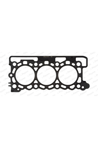 PAYEN Garnitura Chiulasa Citroen C5 3/C6 Ford Australia Territory 2004-2018
