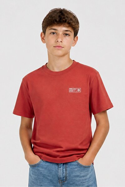Onadime Kids Boy Crew Neck Short Sleeve Brand Logo T-Shirt, Rust Brown