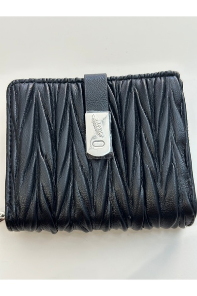 DSN Wallet
