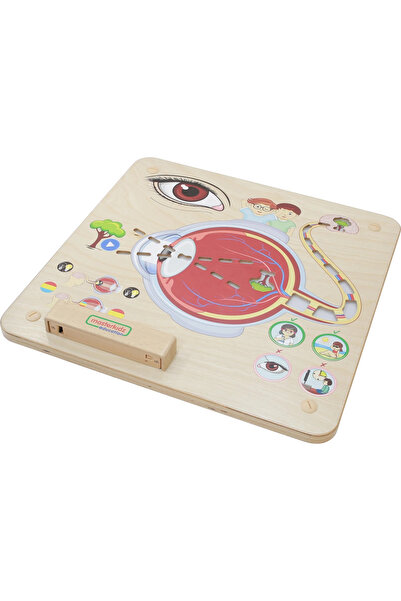 Masterkidz Placă educațională Montessori pentru simțul vederii