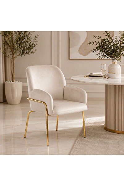 N.zone Modern Dining Chair Upholstered Soft Seat Armchair with Sturdy Metal F...