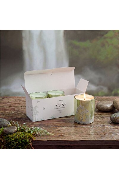 Amara Alvea (120G) Harmony Pine & Eucalyptus Jar Candle