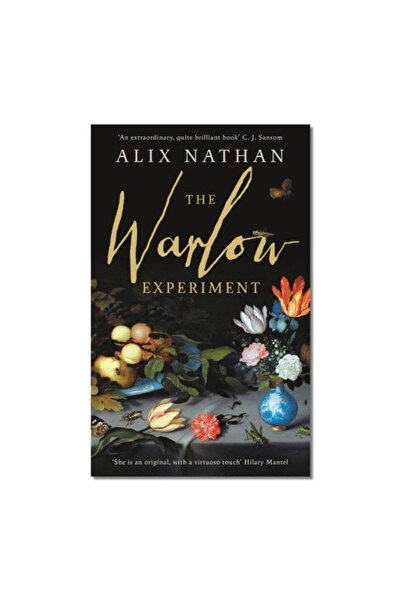 Generic (Unbranded) The Warlow Experiment