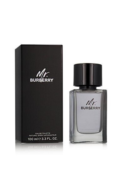 BURBERRY Mr. EDT 100 ml M