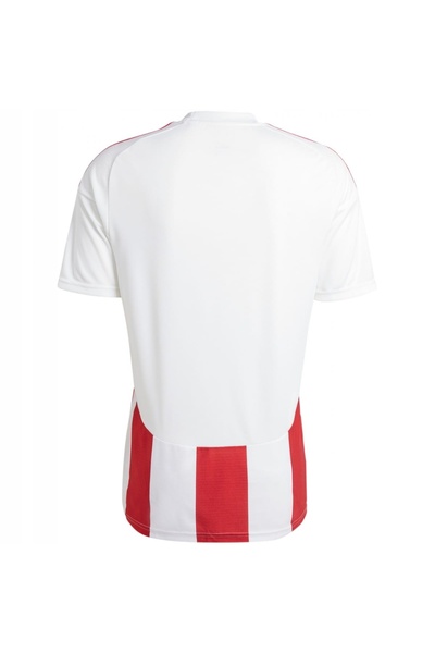 NO BRAND Tricou bărbătesc cu mânecă scurtă, cu dungi, 24 JSY S