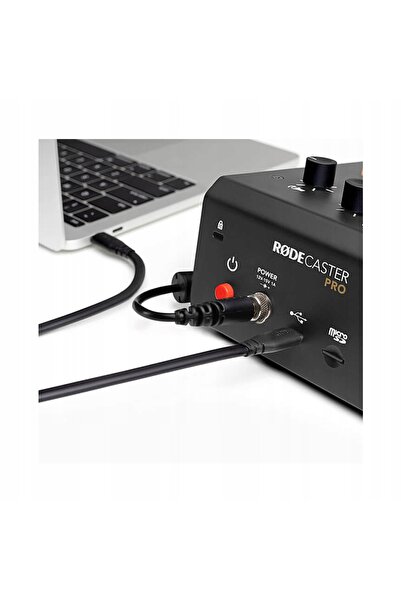 RØDE RODE SC22 - cablu USB-C - USB-C, 30cm