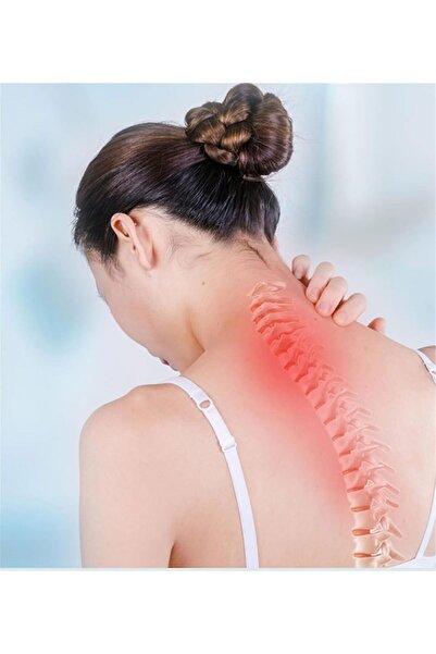 QCHEM New Upgrade Lumbar Spine Cold Gel Spray,Lumbar Pain Relief Herbal Spray...