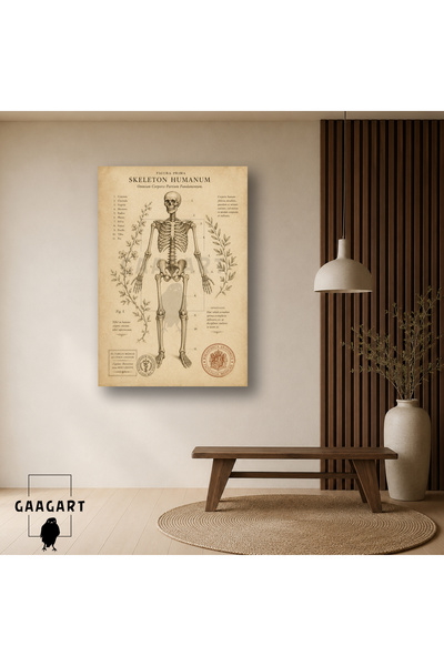 GAAGART Tekli Dikey Kanvas Tablo Vintage İnsan İskeleti Anatomi ve Botanik Do...
