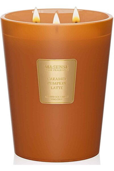 M&SENSE شمعة معطرة برائحة الأوكالبتوس وخشب الأرز، شموع طبيعية من شمع الصويا ب...